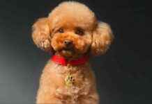 Top Beauty Brand News: Sephora, Dolce & Gabbana, Chanel, Versace, The Ordinary news-09082024-044231