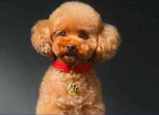 Top Beauty Brand News: Sephora, Dolce & Gabbana, Chanel, Versace, The Ordinary news-09082024-044231