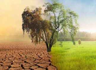 Global Food Security Threatened by Climate Crisis news-09082024-050431