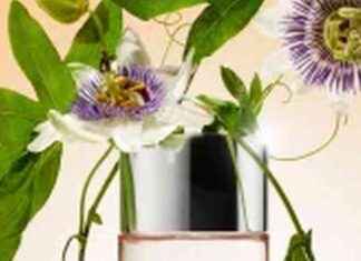 Affordable Perfume Swap: From £85 Alien to £14 Clinique – My Experience news-09082024-050553