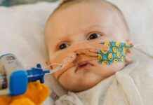 Urgent plea: 11-week old baby boy needs new heart news-09082024-052358