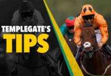In-Form Templegate’s 5-2 NAP Picks to Dominate the Competition news-09082024-053030