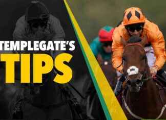 In-Form Templegate’s 5-2 NAP Picks to Dominate the Competition news-09082024-053030