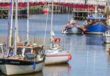 Hidden Cottage Stay in Popular UK Seaside Town news-09082024-053415