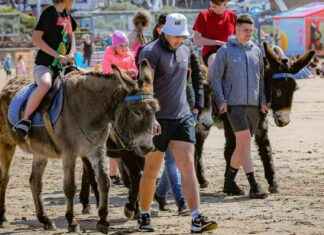 Ban Beach Donkey Rides: Campaign to End Seaside Tradition news-09082024-055248