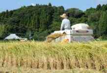 Japan’s Food Self-Sufficiency Rate Holds Steady at 38% in FY 2023 news-09082024-055316