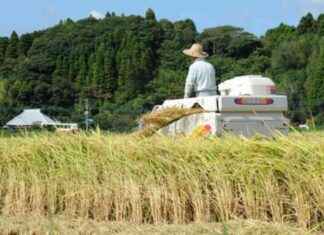 Japan’s Food Self-Sufficiency Rate Holds Steady at 38% in FY 2023 news-09082024-055316