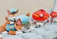 Hunter Price Acquires First Online Retailer: Expansion Milestone Reached news-09082024-055835