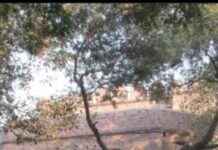 5 Must-Visit Places in Delhi for India’s Freedom Struggle History news-09082024-055930