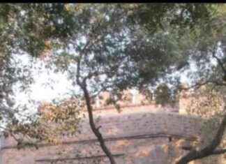 5 Must-Visit Places in Delhi for India’s Freedom Struggle History news-09082024-055930