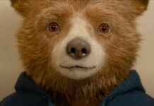 Paddington Bear in Peru Trailer: Ben Whishaw Voices Bear Trying to Take Passport Photo news-09082024-064734