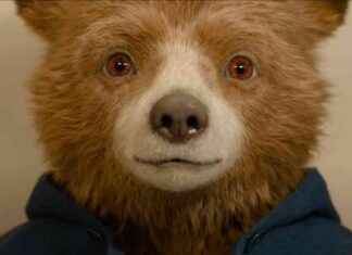 Paddington Bear in Peru Trailer: Ben Whishaw Voices Bear Trying to Take Passport Photo news-09082024-064734