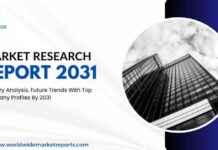 IT Asset Management Services Market Analysis & Growth Strategies 2031 | ServiceNow, Atlassian, SoftwareOne news-09082024-065726