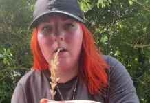 Beware of Dangerous Grass Strain: Dog Walker’s Warning news-09082024-072538