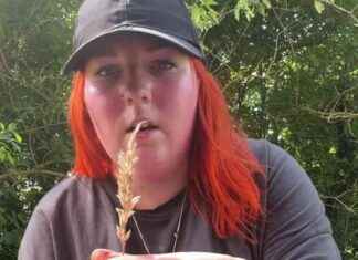 Beware of Dangerous Grass Strain: Dog Walker’s Warning news-09082024-072538