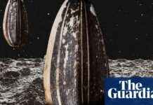 Lunar Biorepository: Backup for Life on Earth news-09082024-073716