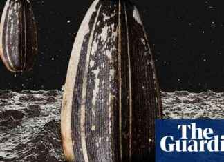 Lunar Biorepository: Backup for Life on Earth news-09082024-073716