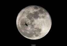 Preserving Earth’s Endangered Species: ‘Noah’s Ark’ Mission to the Moon news-09082024-075157