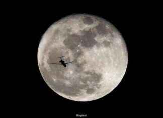 Preserving Earth’s Endangered Species: ‘Noah’s Ark’ Mission to the Moon news-09082024-075157