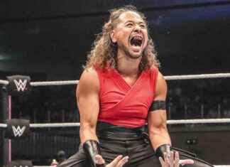 AEW Star Opens Up About Their Connection with WWE’s Shinsuke Nakamura news-09082024-075739