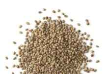 US Approval: Hempseed Meal for Layer Feed news-09082024-081144