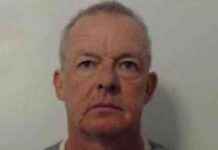 Notorious Pedophile with a History of Offenses: Unveiling the Truth news-09082024-081418