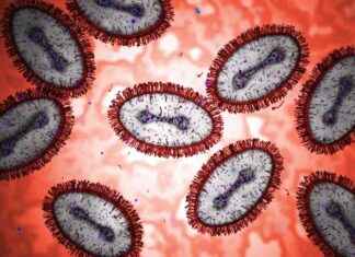 Identifying Potential Pandemic Pathogens: Warning from Scientists news-09082024-081456