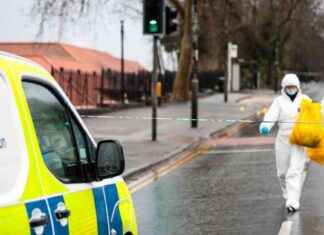 Murder at Traffic Lights: Uncovering the High-Stakes Investigation news-09082024-081523