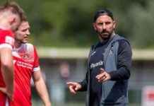 Strategies for Thriving in a Higher-Level Position: A Needham Boss’s Perspective news-09082024-081734