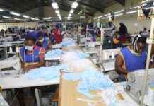 Preparing for Future Pandemics: WHO Guidelines for Countries news-09082024-082546