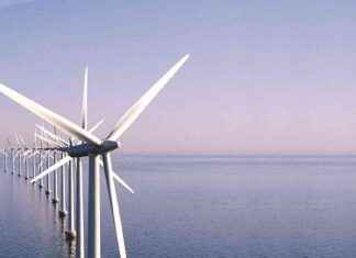 Unlocking Vietnam’s Offshore Wind Power Potential for Green Energy news-09082024-083013
