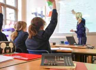 Teachers Eligible for Blue Light Card Discounts: Website Overwhelmed news-09082024-091712