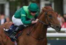 Phoenix Stakes Runners and Weekend Races at Ascot, Haydock, and Newmarket news-09082024-092316