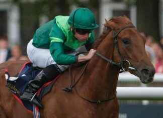 Phoenix Stakes Runners and Weekend Races at Ascot, Haydock, and Newmarket news-09082024-092316