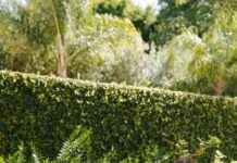 Expert Tips for Longevity: Habits to Unlock a Longer, Healthier Life news-09082024-094718