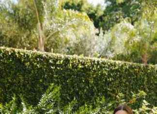 Expert Tips for Longevity: Habits to Unlock a Longer, Healthier Life news-09082024-094718