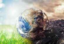 Climate Change Impacts Flowering Times and Food Security: A Comprehensive Analysis news-09082024-095831