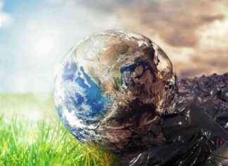 Climate Change Impacts Flowering Times and Food Security: A Comprehensive Analysis news-09082024-095831