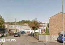 Three Teenagers Injured in London Shooting in Orpington: Details and Updates news-09082024-100147