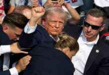 Altered Photo of Trump Resembling Hitler’s Raised Fist | Fact Check news-09082024-101907