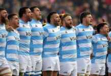 Pumas vs All Blacks: Preview and Match Analysis news-09082024-105206