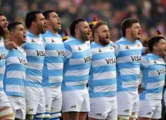 Pumas vs All Blacks: Preview and Match Analysis news-09082024-105206