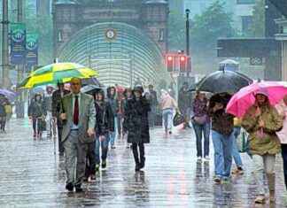 Sunny Weather Ahead: Severe Thunderstorm Warning Issued news-09082024-110840