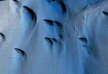 Uncovering Antarctica’s Hidden Secrets: Scientists’ Groundbreaking Discovery news-09082024-113346