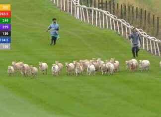 Racing League Faces Criticism Over Delayed Start and Lack of Organization news-09082024-113704