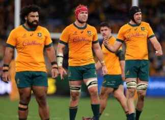 Schmidt’s Wallabies Evolution: Suncorp Sell-Out Analysis and Impact news-09082024-113839