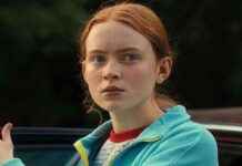 Stranger Things Star Teases Character’s Return After Emotional Finale news-09082024-115735