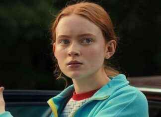 Stranger Things Star Teases Character’s Return After Emotional Finale news-09082024-115735