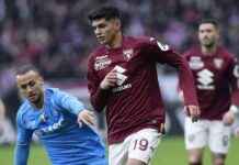 Torino vs. Cosenza: Match Prediction, Team News, Lineups & Preview news-12082024-014911