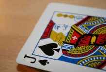 Essential Rules for Blackjack Players: A Guide – Mancunian Matters news-12082024-111830
